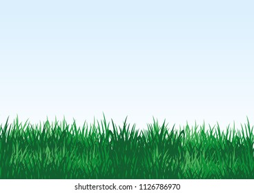 Green grass on a blue background with space for text.