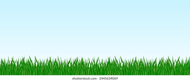 green grass on blue background for wallpaper