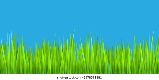 green grass on blue background vector illustration