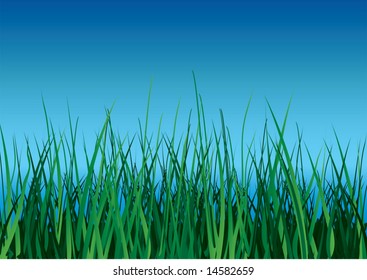 Green grass on blue sky background. Vector illustration.