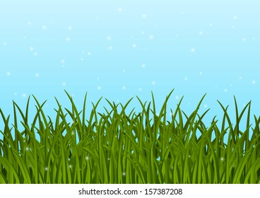 Green grass on blue sky background