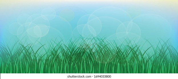 Grünes Gras auf blauem Hintergrund, Karte oder Poster-Vorlage, Frühjahrshintergrund