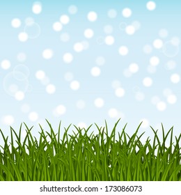 Green grass on blue sky background