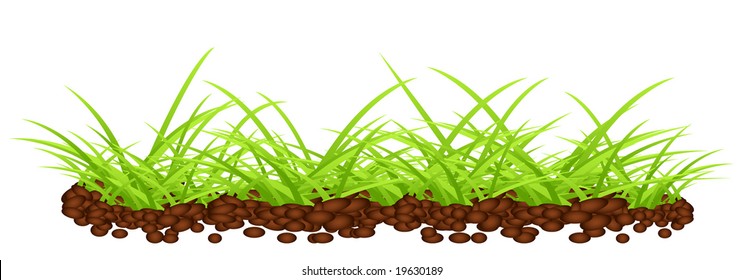 Green grass on ground