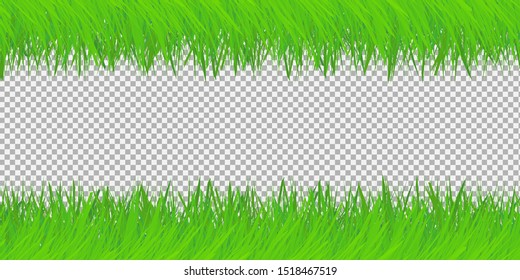 Green grass on isolated background .Spring or summer. Vector Illustration.