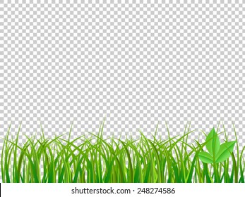 Green Grass On Isolated Transparent Background Stock Vector Royalty Free