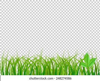 Green Grass On Isolated Transparent Background  