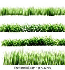 Green grass on isolated transparent background