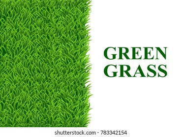 The green grass on the left and the other half is a white background for text input. Vector illustrations