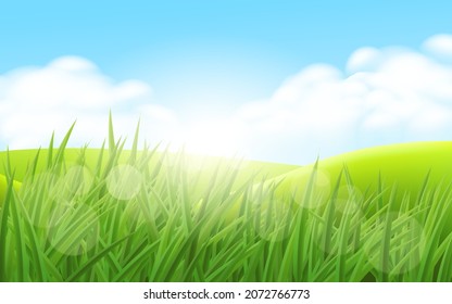 Green grass on morning sunrise background with sunlight, clouds and blue sky