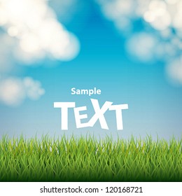 green grass on a sky background