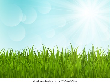 Green grass on sunny background