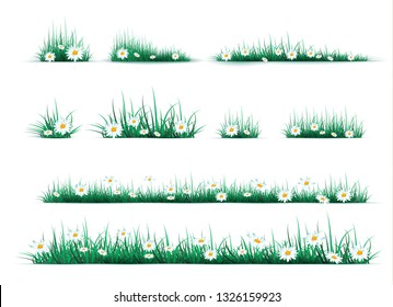 Green grass on a transparent background. glade in the forest grass. Chamomiles on the glade.