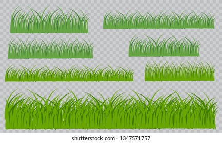 Green grass on a transparent background. Glade in the forest grass. Vector illustration on a light background.