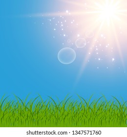 Green grass on a transparent background. Glade in the forest grass. Vector illustration on a light background.