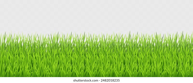 Green Grass on Transparent Background. Vector Illustration of Lush Spring Lawn. Summer Nature Decor.