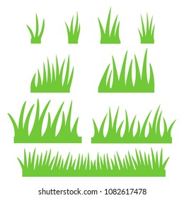 green grass on white background