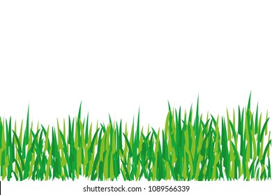 Green grass on white background.