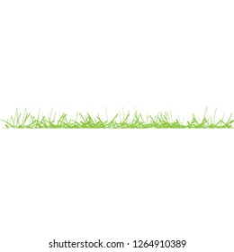 green grass on white background