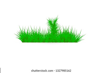 Green grass on a white background. glade in the forest of grass