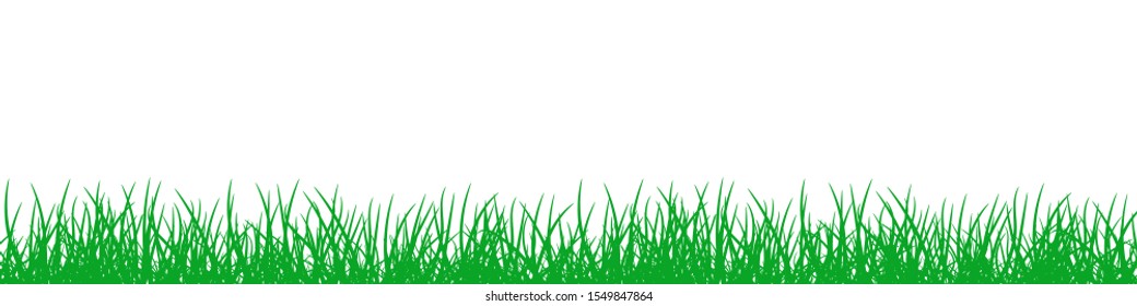 Green Grass on white background. Summer nature background. Vector Grass border