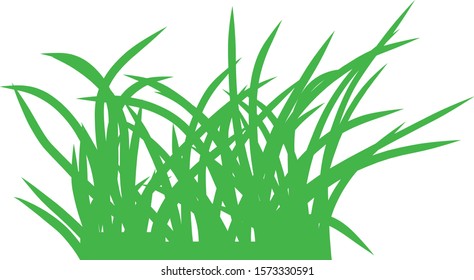 Green grass on white background. Vector illustration.