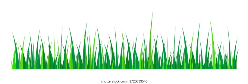 green grass on white background