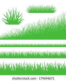 Green grass on white background. Vector illustration