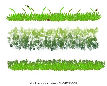 Green grass on a white background.
