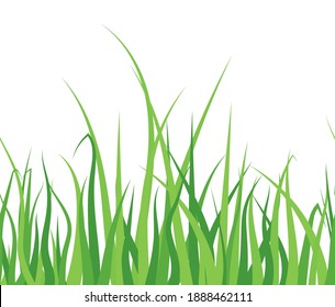 Green grass on white background. Seamless horizontal pattern. vector Illustration.