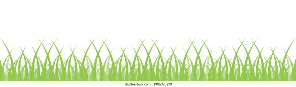 Green grass on white background. Organic shape border isolated. Meadow nature vector banner. 