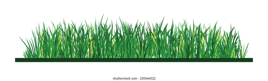 Green grass on white background, illustration
