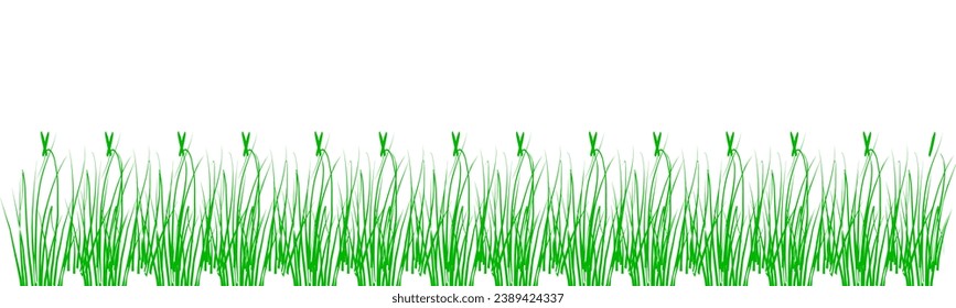 Green Grass on a White background. Vector Isolated