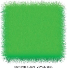 green grass on a white background