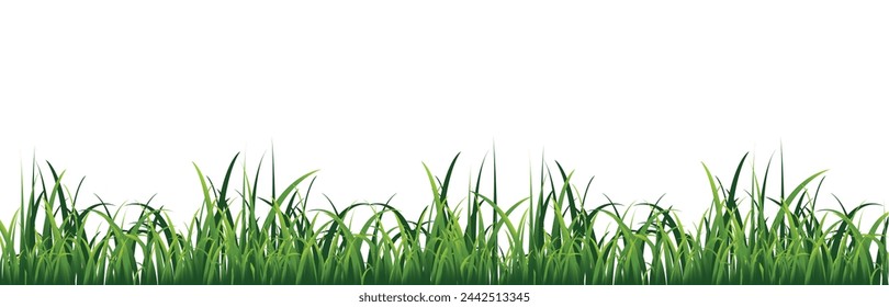 Hierba verde sobre fondo blanco. Gráficos vectoriales