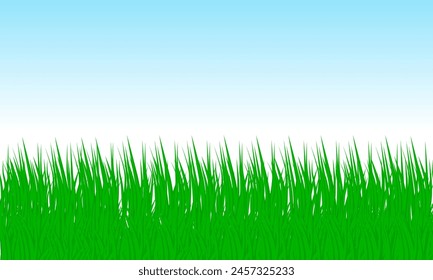green grass on white background . the idea for picnic football field ,golf ,lawn	