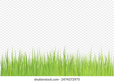 Green Grass on a White Background with Transparent Background Vector Art Illustration, Perfect for Nature-Themed Designs, Landscaping Projects, and Environmental Graphics