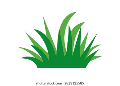 Green Grass on White Background. Vector illustration