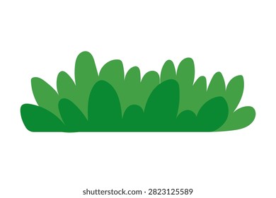 Green Grass on White Background. Vector illustration