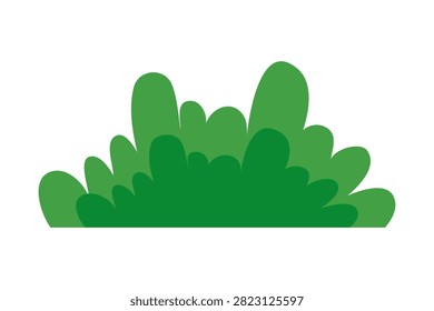 Green Grass on White Background. Vector illustration