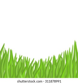 Green grass on a white background. Vector illustration garden.