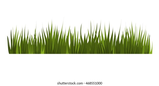 Green grass on white background, vector.