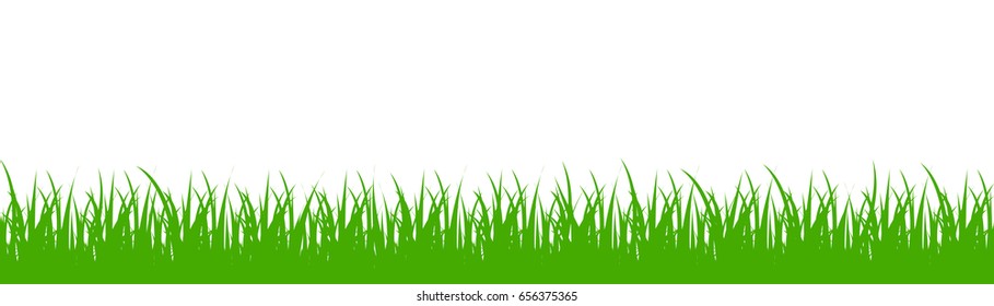 Green grass on white background - vector