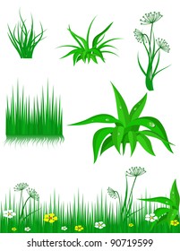 The green grass on white background