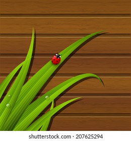 Green grass on wooden background