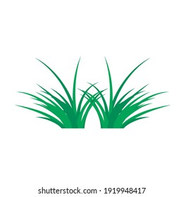 green grass ornament vector graphic design
