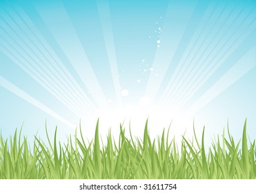 green grass over blue shiny sky, vector background