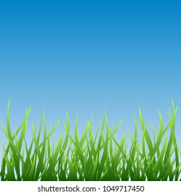 Green grass over blue sky border, field vector illustration. Symbol of nature, plant, ecology and growth. Summer square background.
