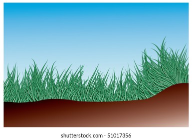 green grass over blue sky