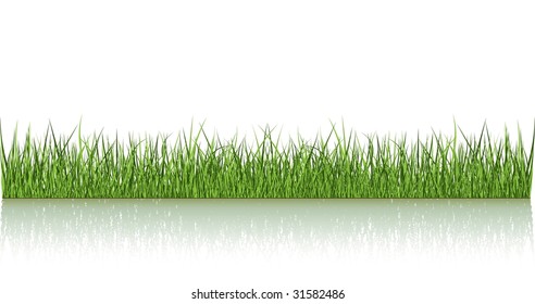 Green Grass Over The Water